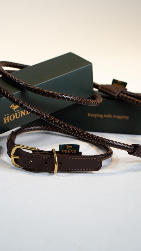Siena Leash - Image 2