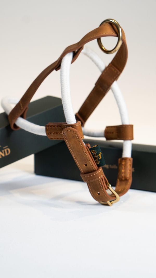 Latte Harness