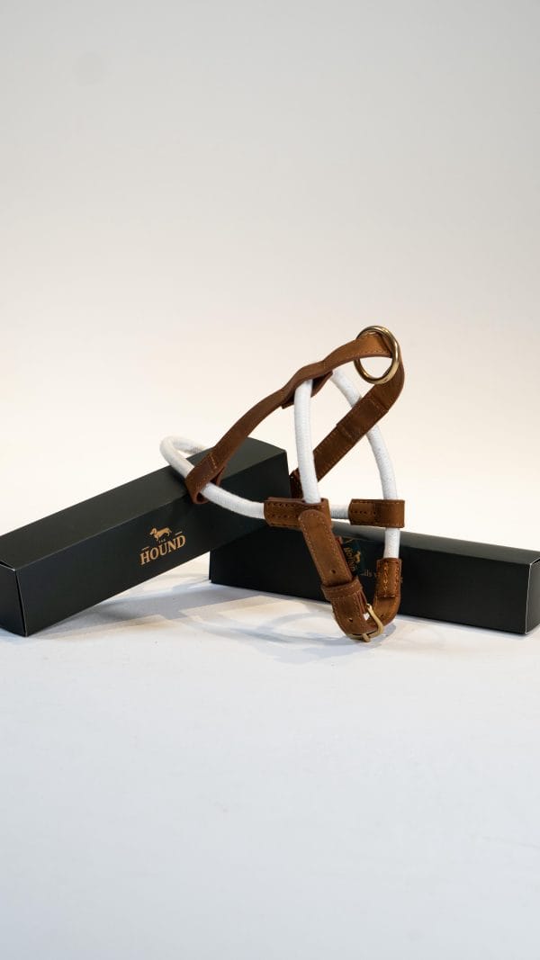 Latte Harness - Image 2