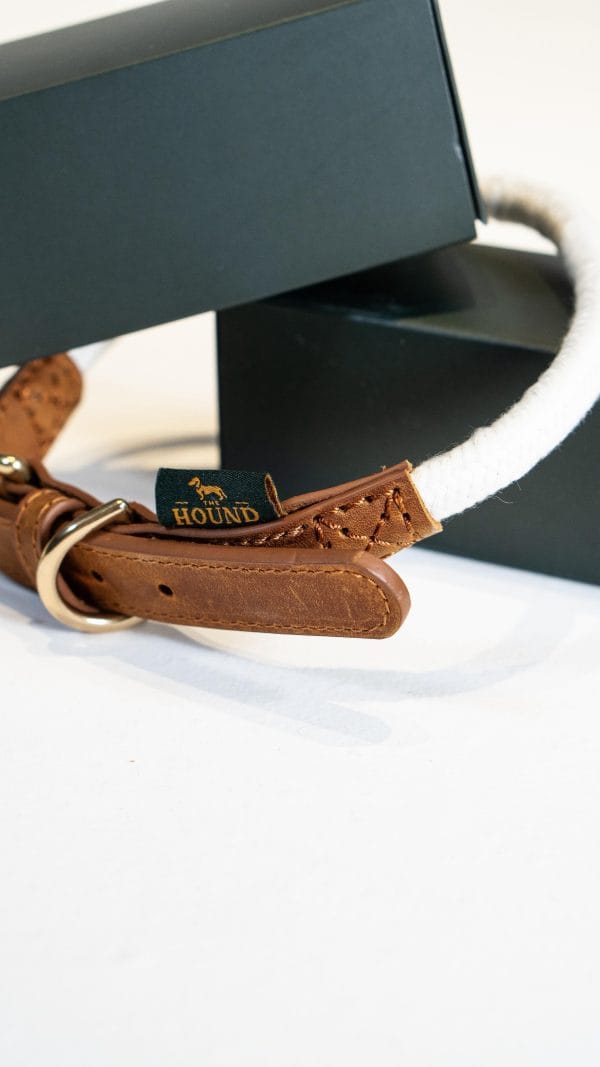Latte Collar