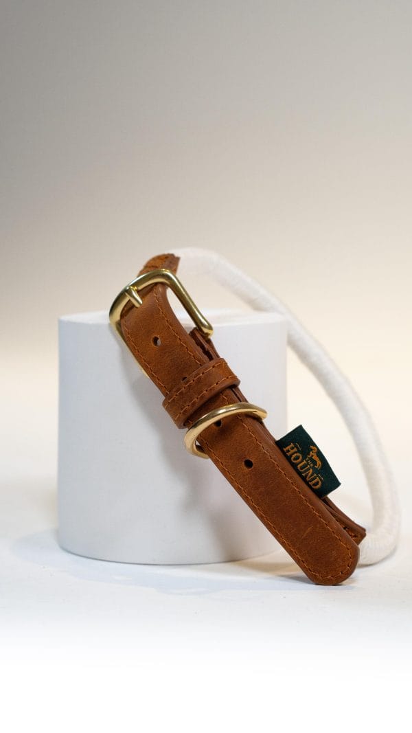 Latte Collar - Image 2