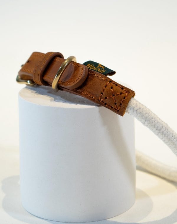 Latte Collar - Image 3